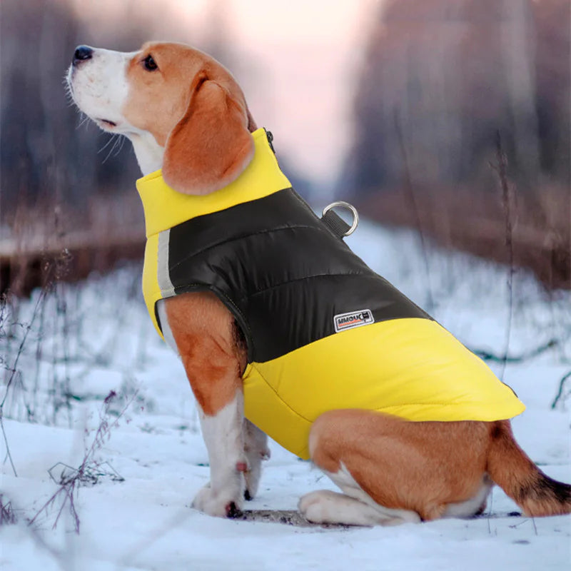 Waterproof Reflective Dog Clothes