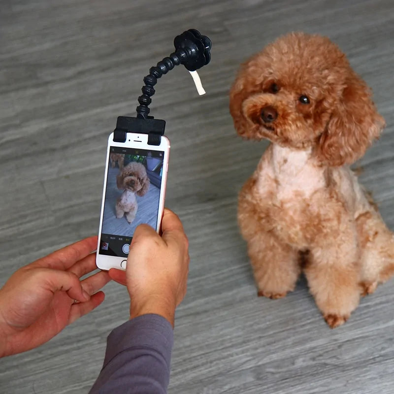 Perche à Selfie Pour Animaux de Compagnie Chiens et Chats