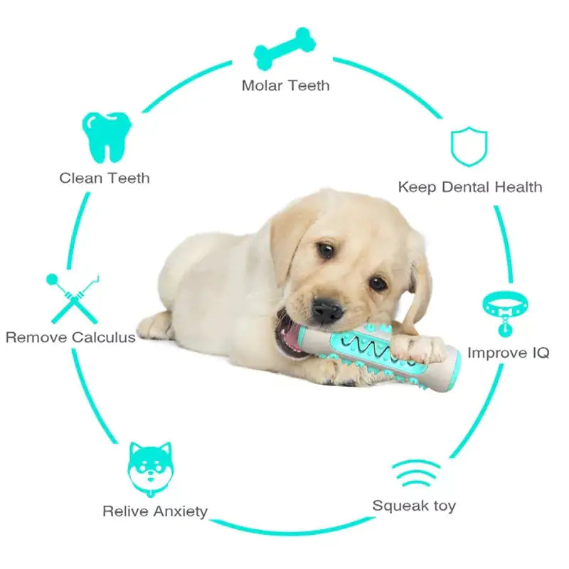 Combo de Escova de Dentes para Cães & Anti-Estresse