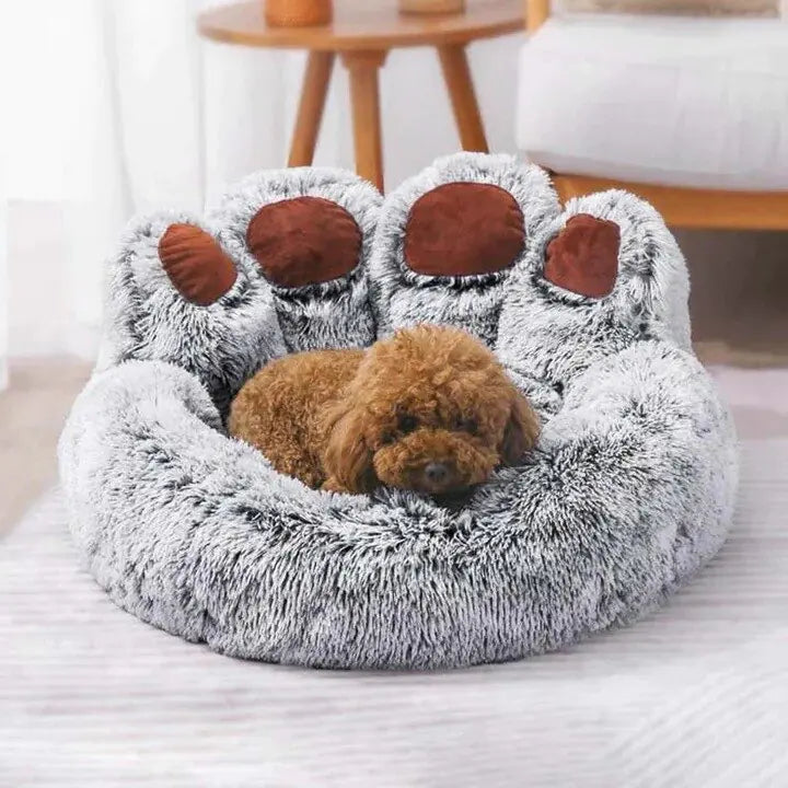 Lit pour Petit Chien Patte d'Ours